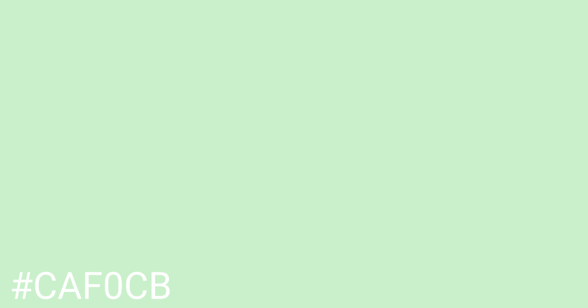 Hex color #caf0cb graphic