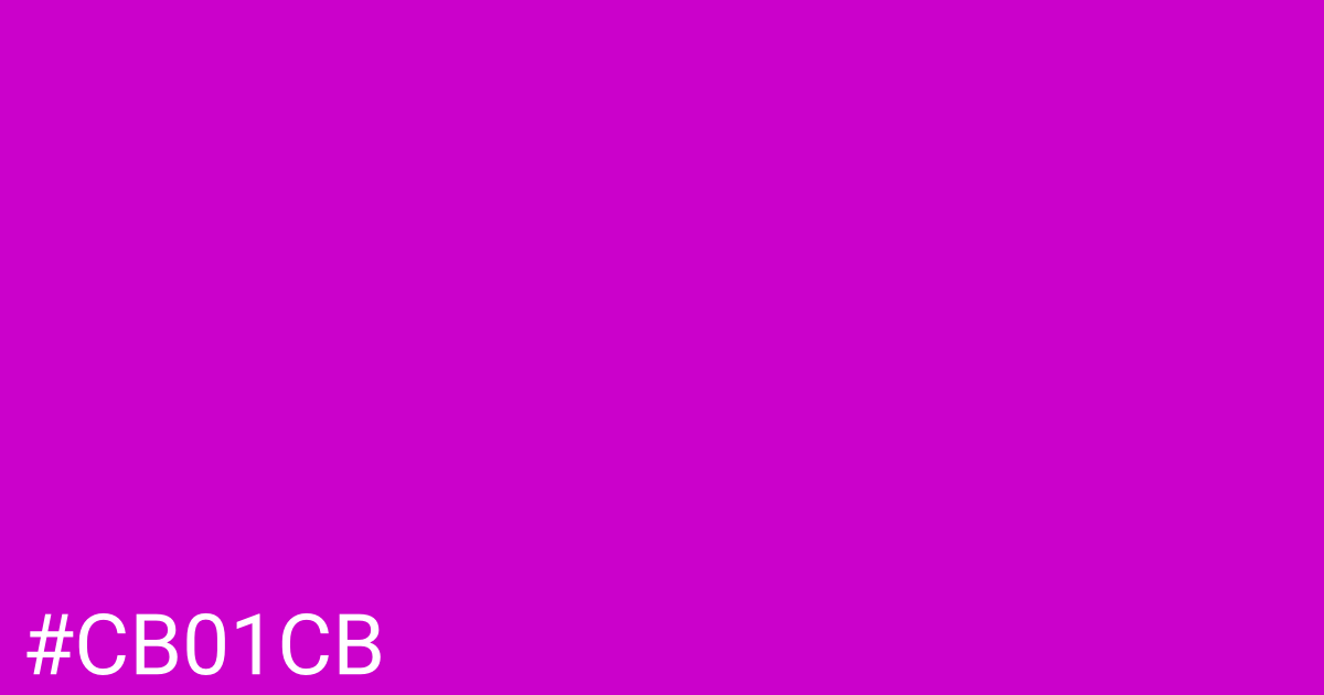 Hex color #cb01cb graphic