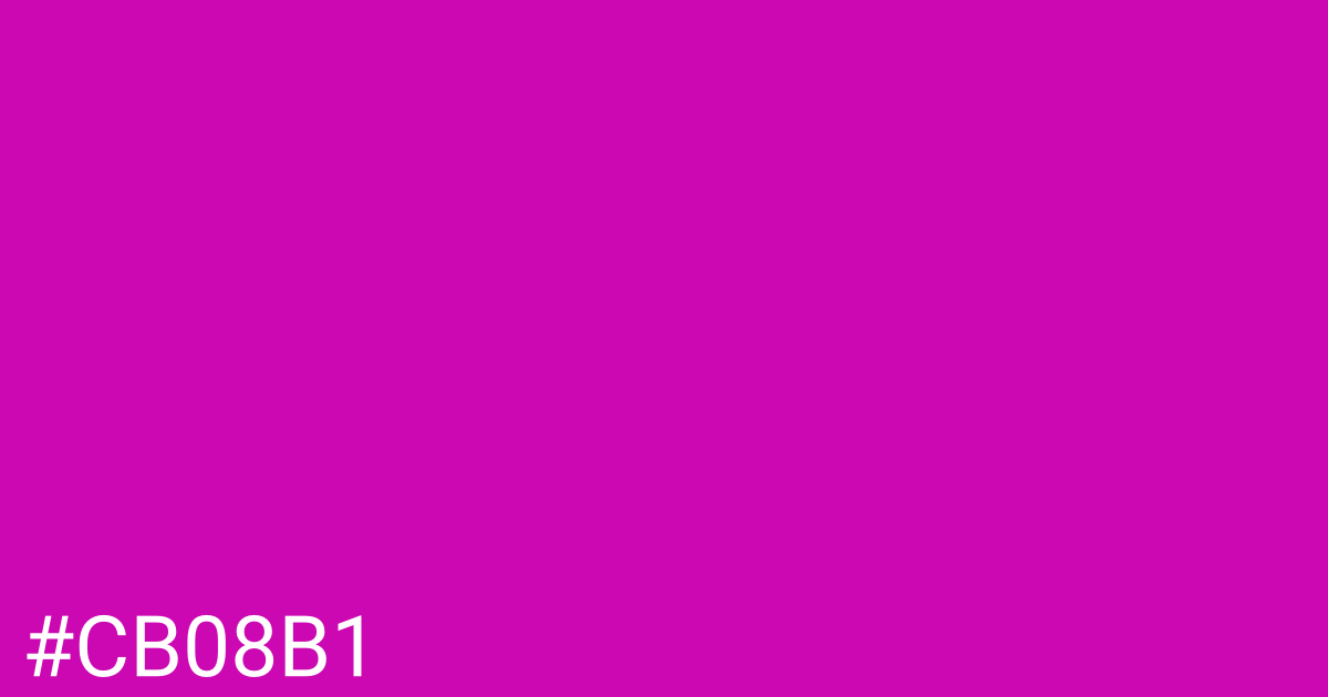 Hex color #cb08b1 graphic