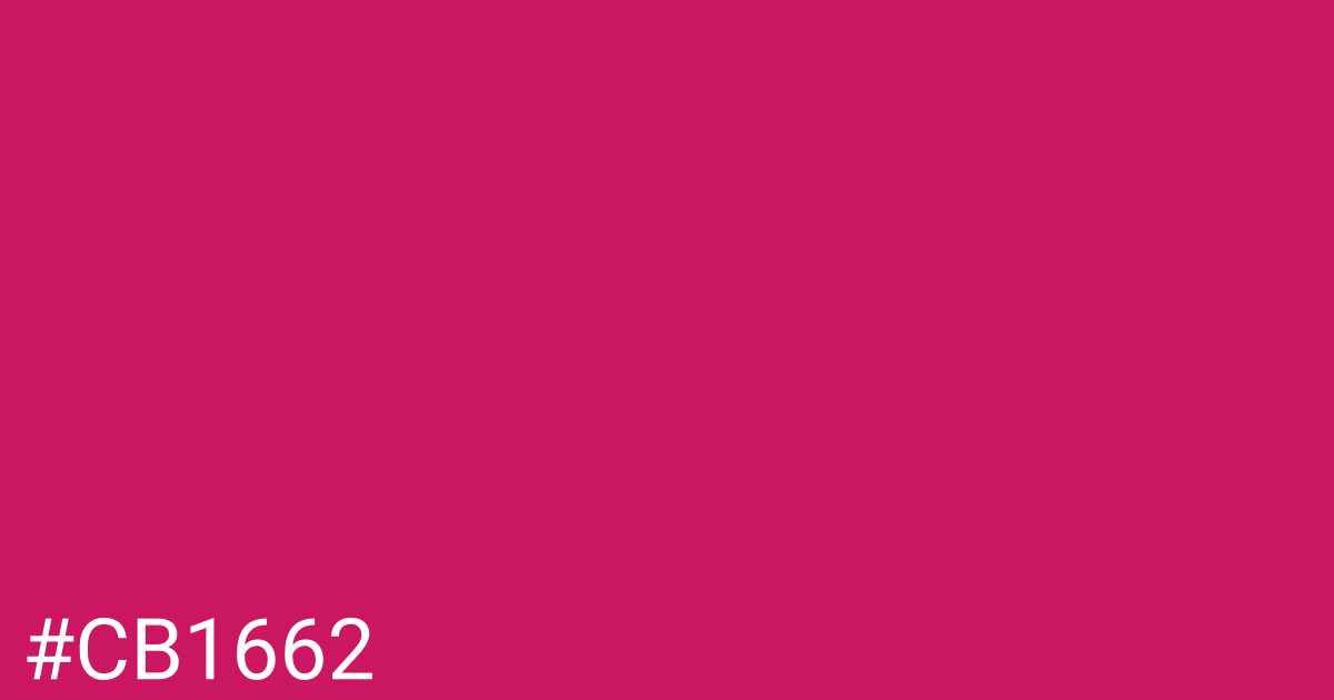 Hex color #cb1662 graphic