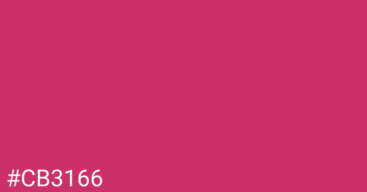 Hex color #cb3166 graphic