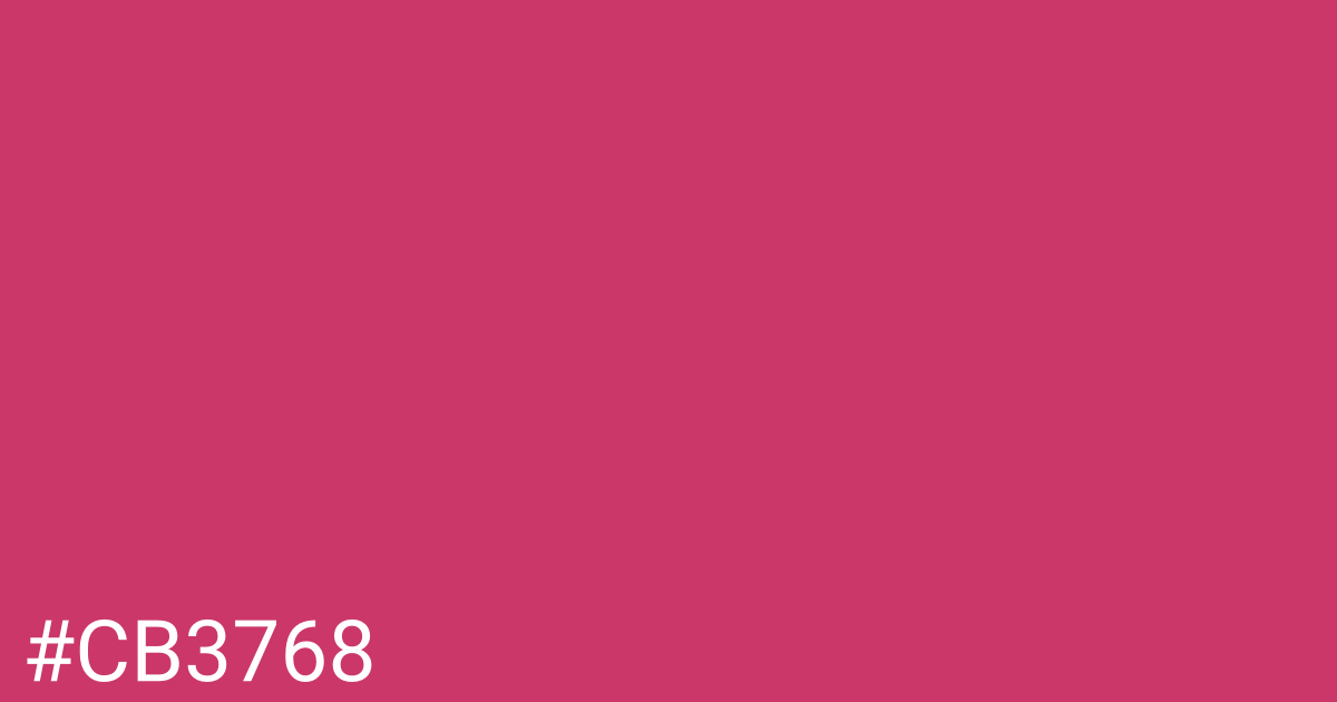 Hex color #cb3768 graphic