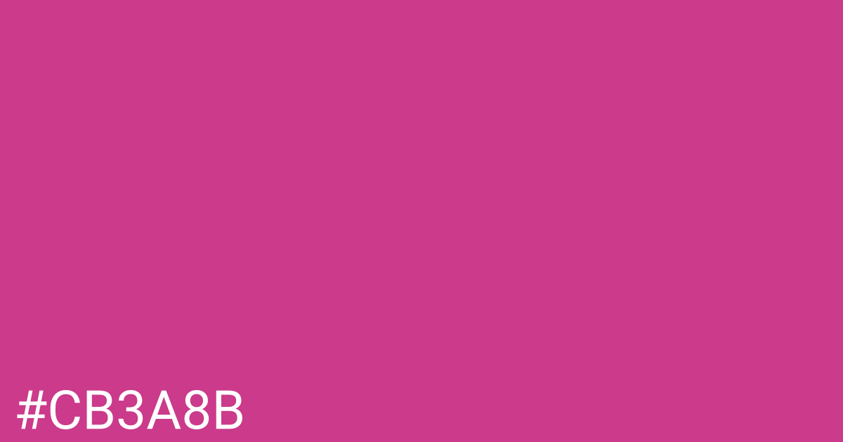 Hex color #cb3a8b graphic