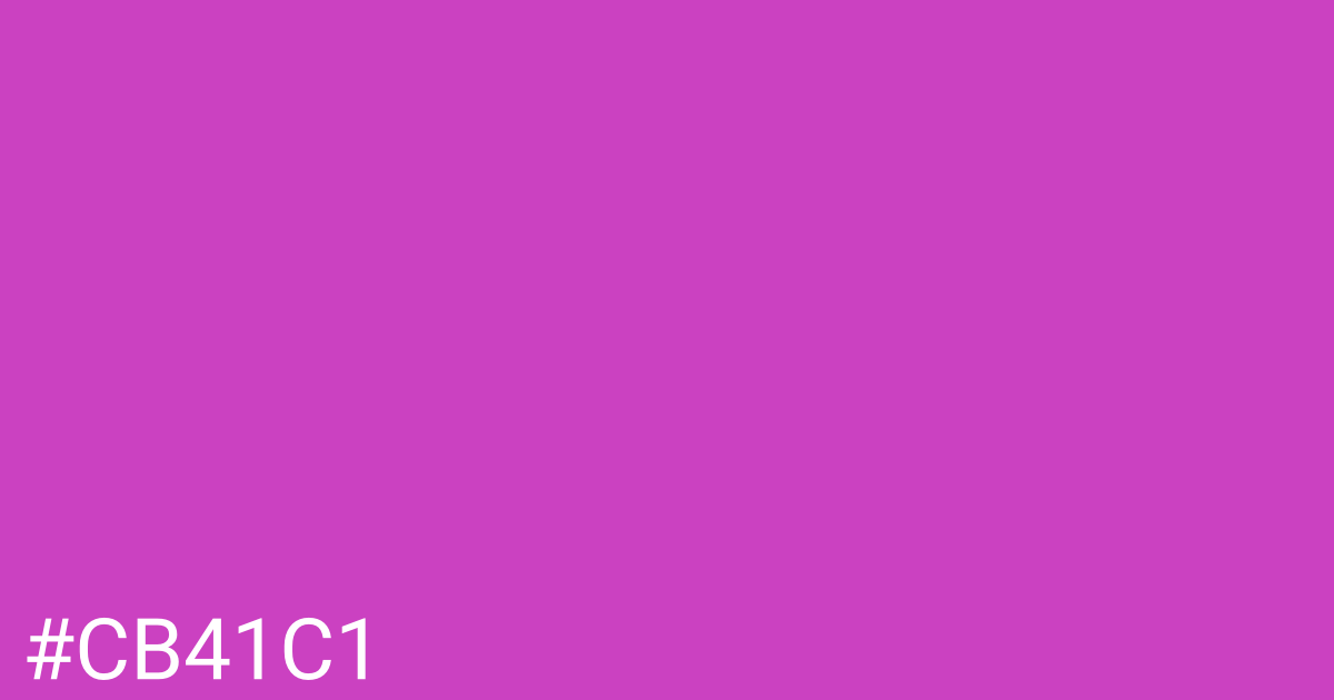 Hex color #cb41c1 graphic
