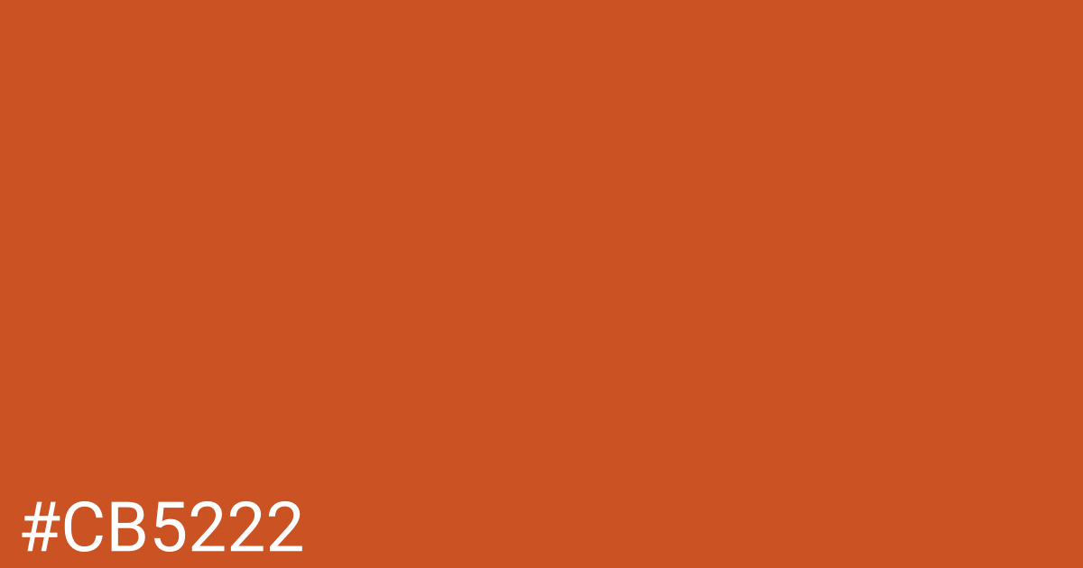 Hex color #cb5222 graphic