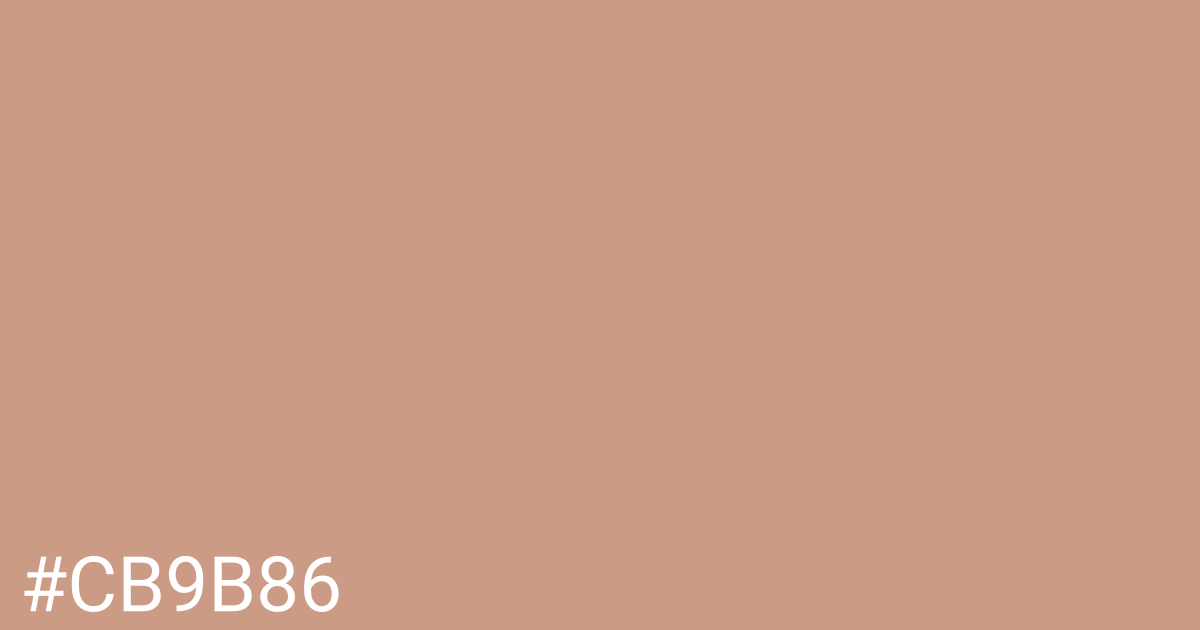 Hex color #cb9b86 graphic