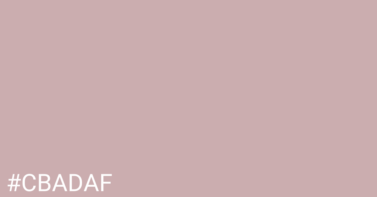 Hex color #cbadaf graphic