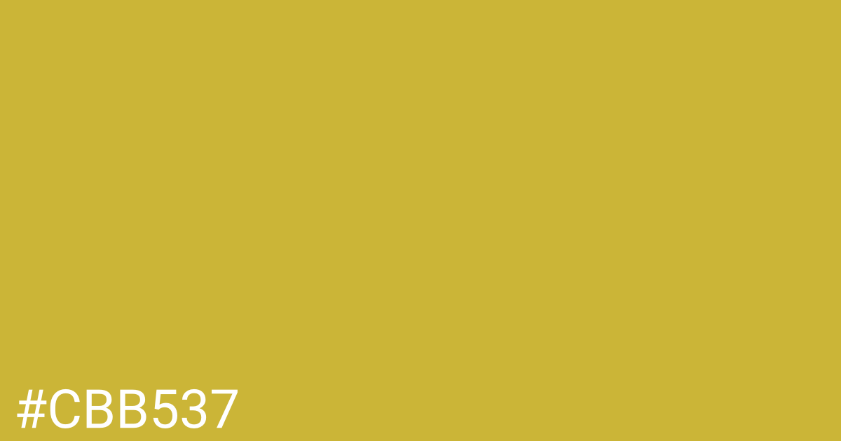 Hex color #cbb537 graphic