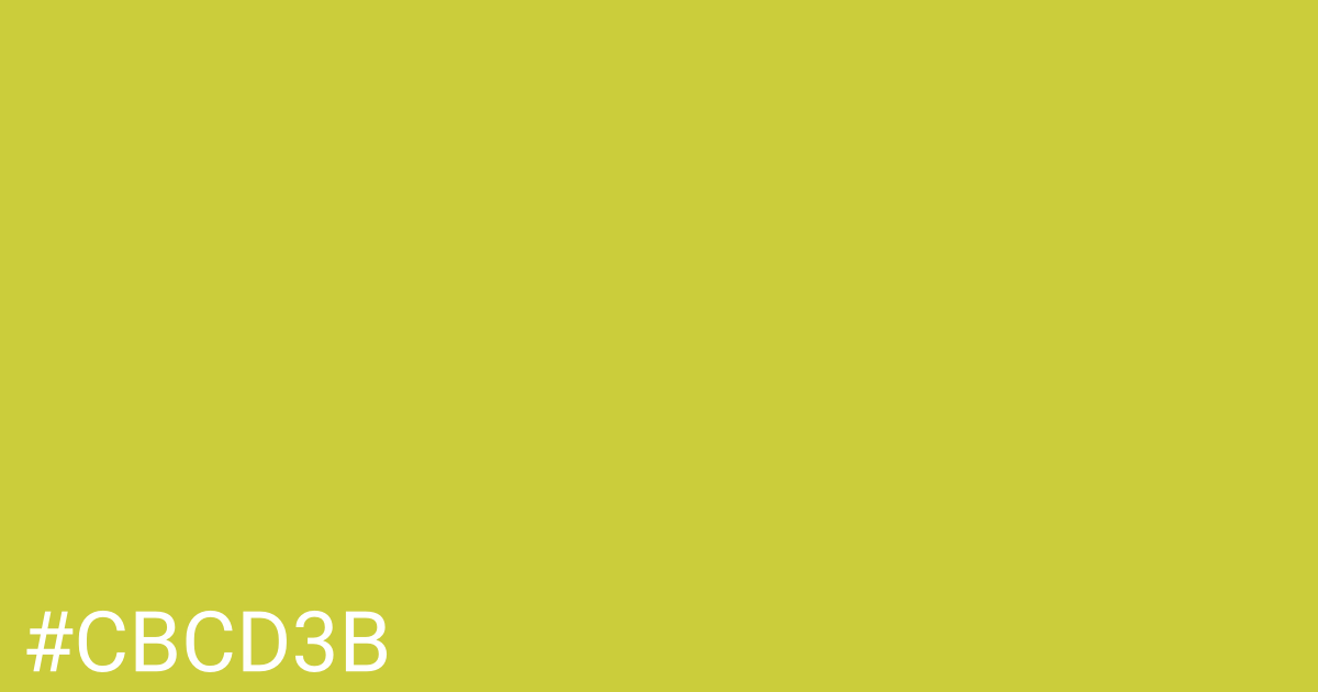 Hex color #cbcd3b graphic