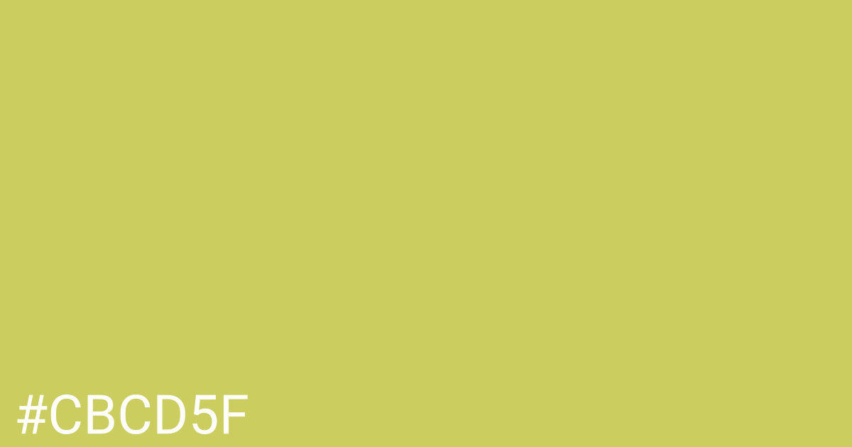 Hex color #cbcd5f graphic