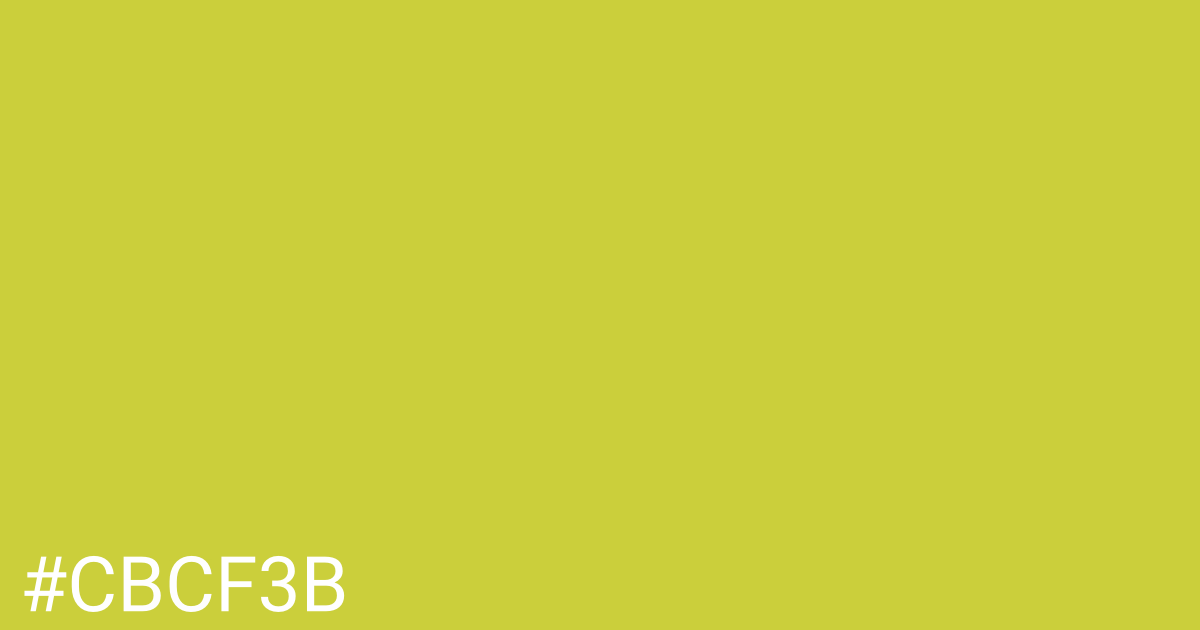 Hex color #cbcf3b graphic