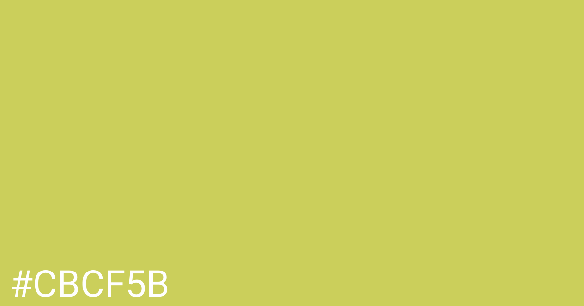 Hex color #cbcf5b graphic