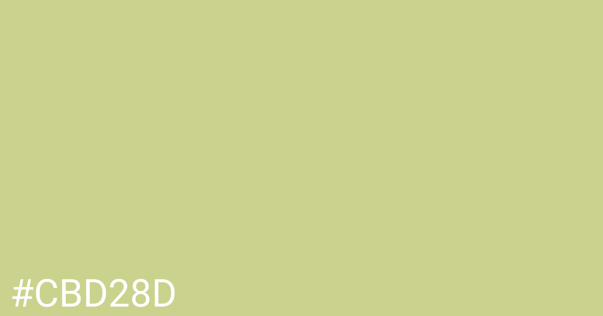 Hex color #cbd28d graphic