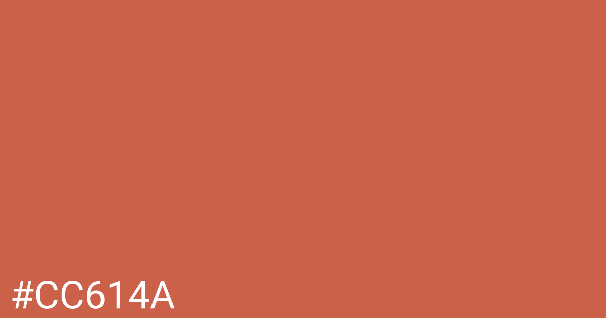 Hex color #cc614a graphic