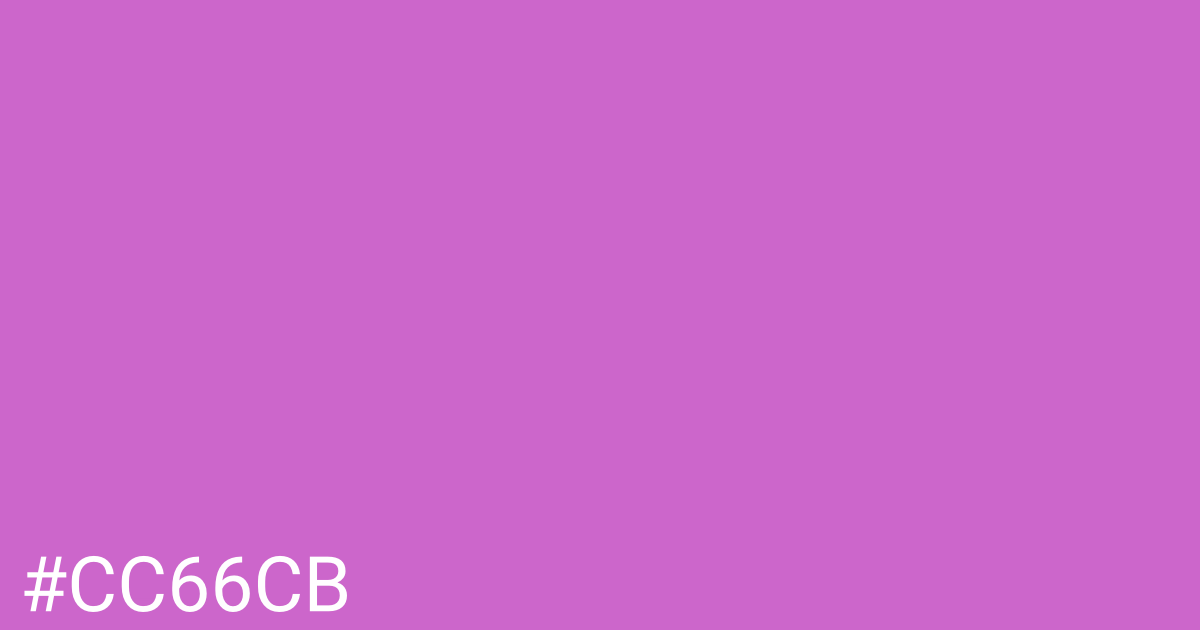 Hex color #cc66cb graphic