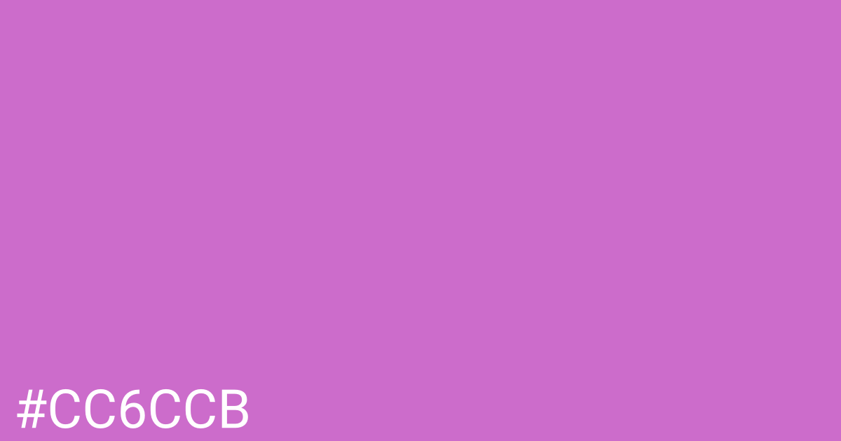 Hex color #cc6ccb graphic