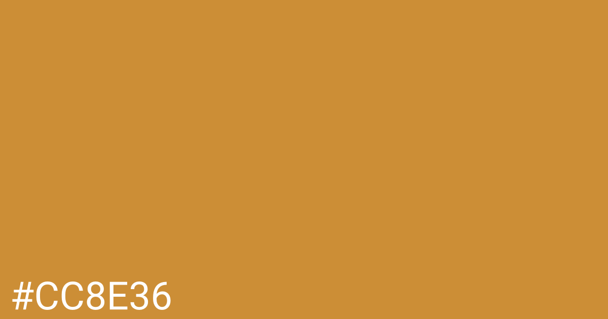 Hex color #cc8e36 graphic