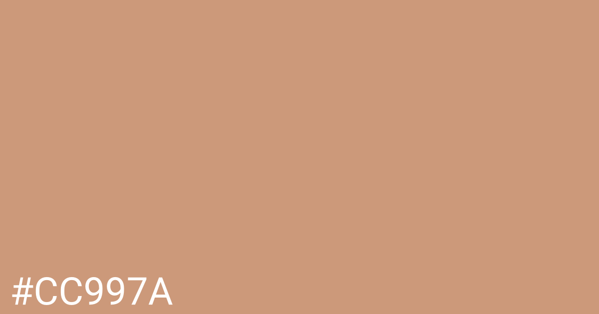 Hex color #cc997a graphic