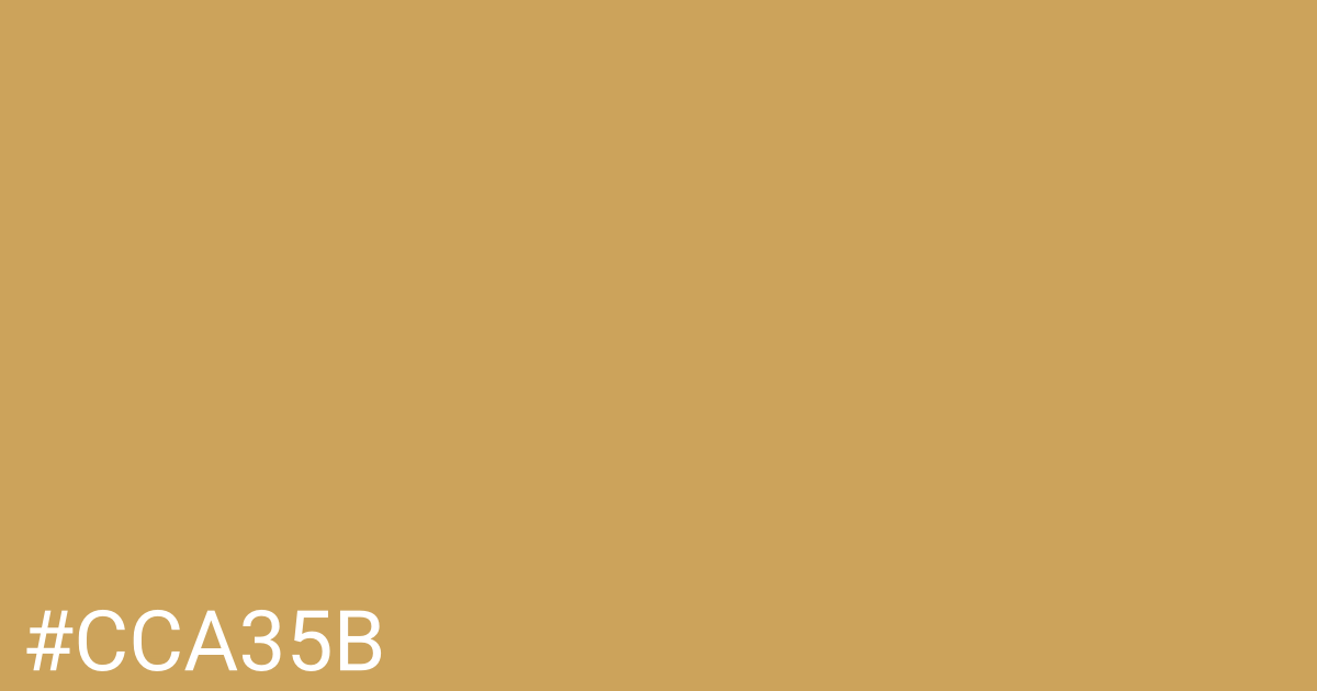 Hex color #cca35b graphic