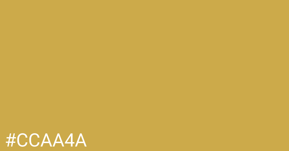 Hex color #ccaa4a graphic