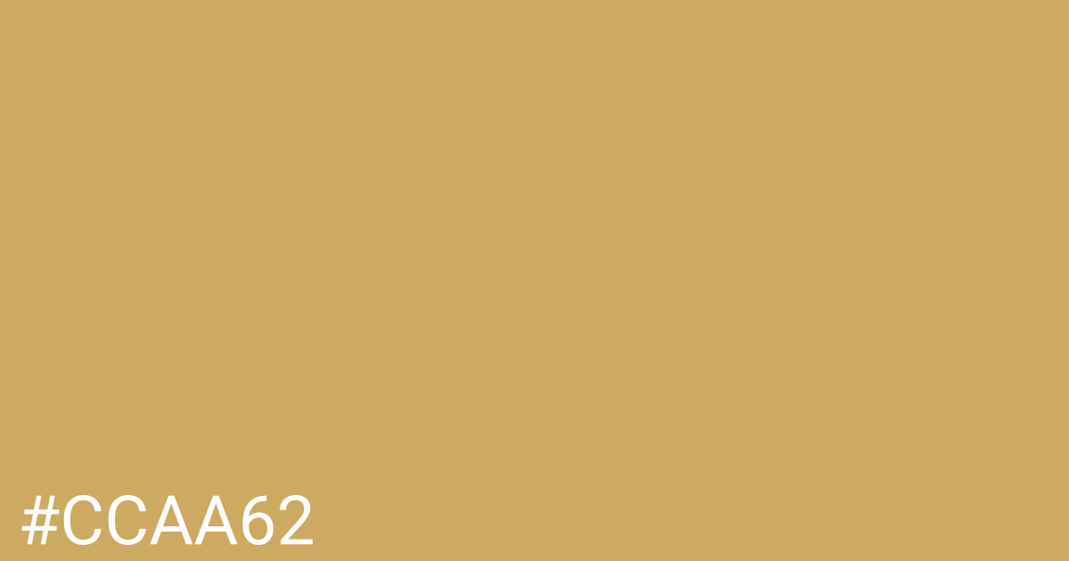 Hex color #ccaa62 graphic