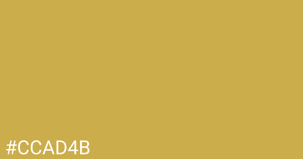 Hex color #ccad4b graphic