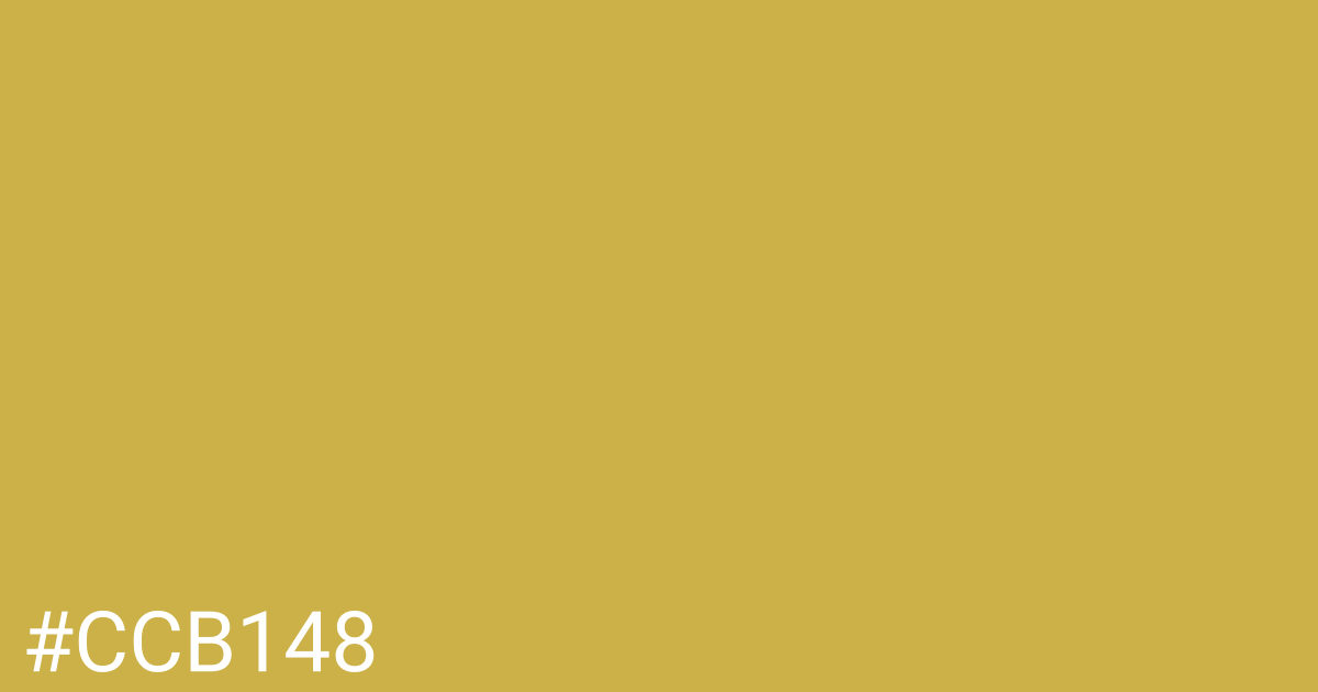 Hex color #ccb148 graphic