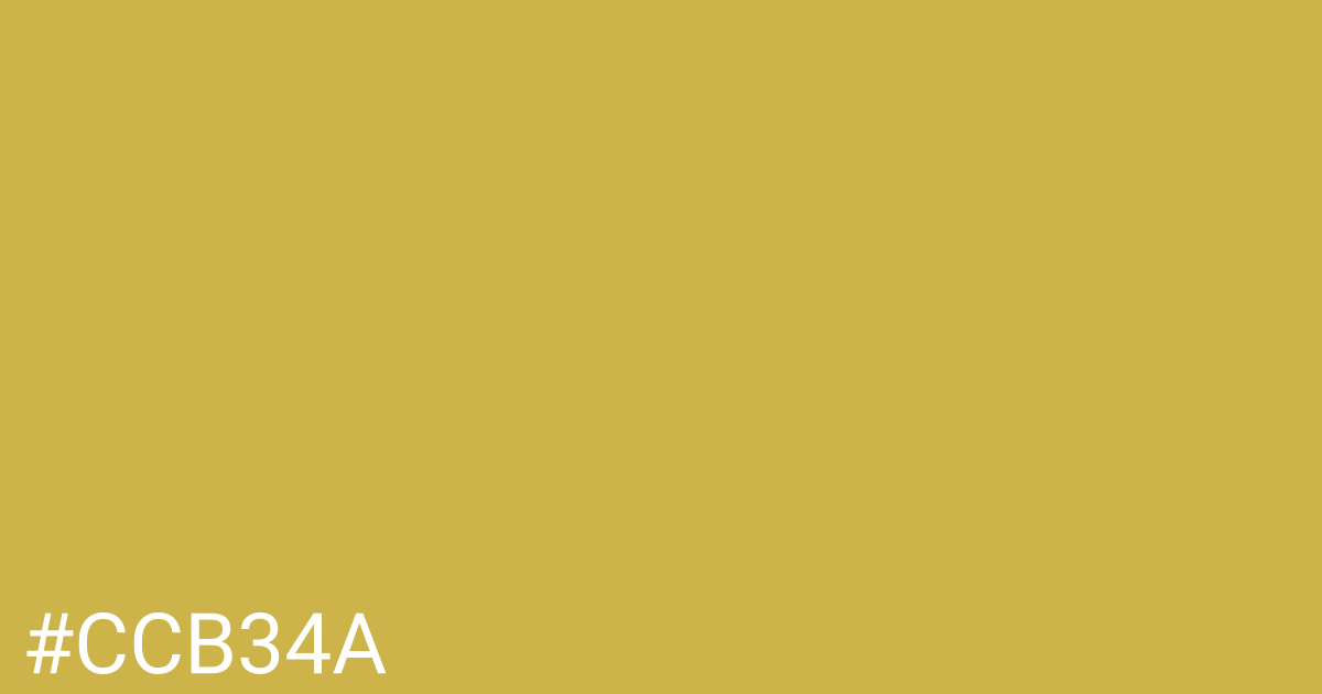Hex color #ccb34a graphic