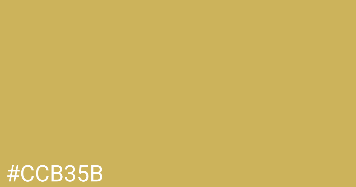 Hex color #ccb35b graphic