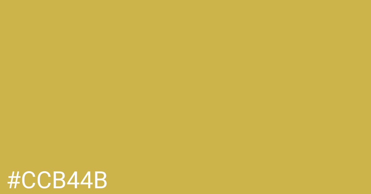 Hex color #ccb44b graphic