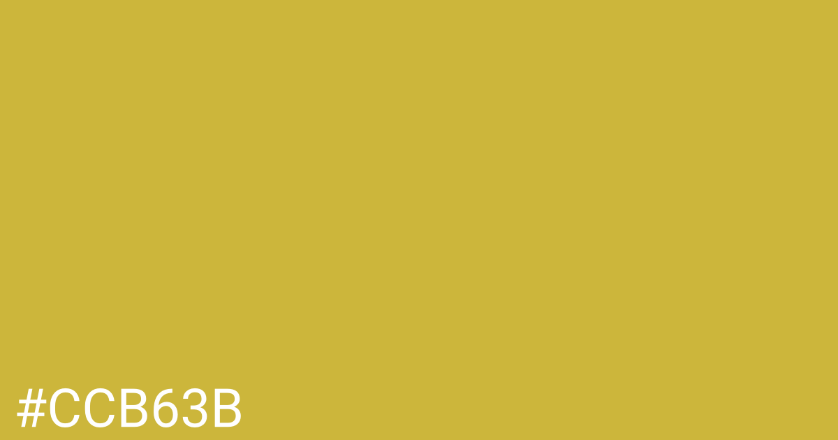 Hex color #ccb63b graphic