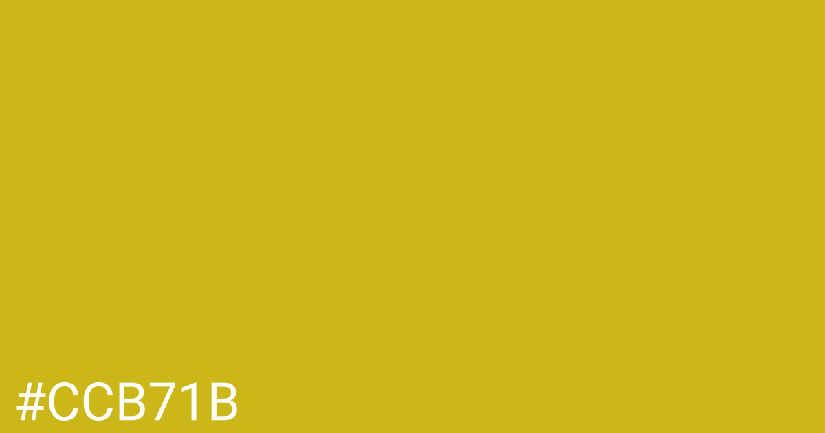 Hex color #ccb71b graphic