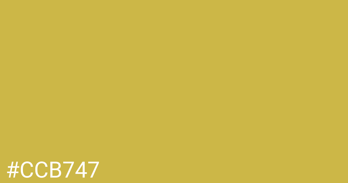 Hex color #ccb747 graphic