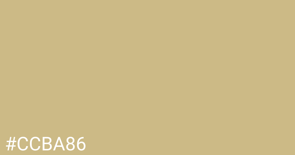Hex color #ccba86 graphic
