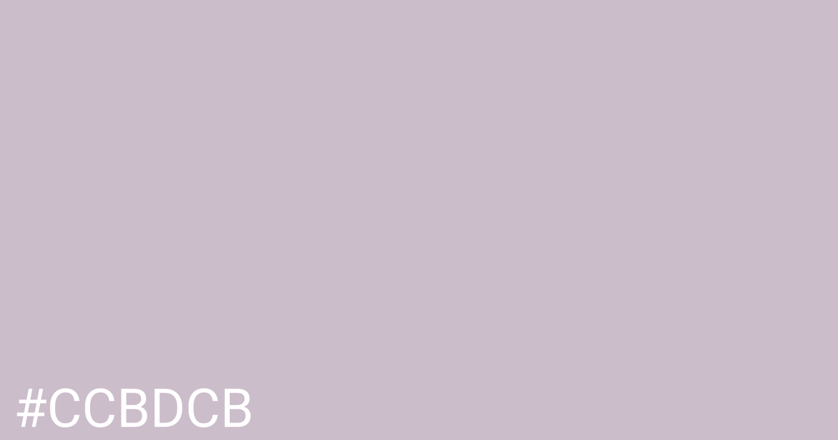 Hex color #ccbdcb graphic