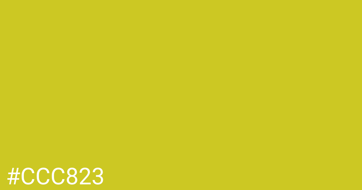 Hex color #ccc823 graphic