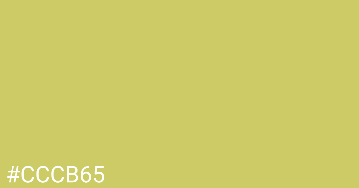 Hex color #cccb65 graphic