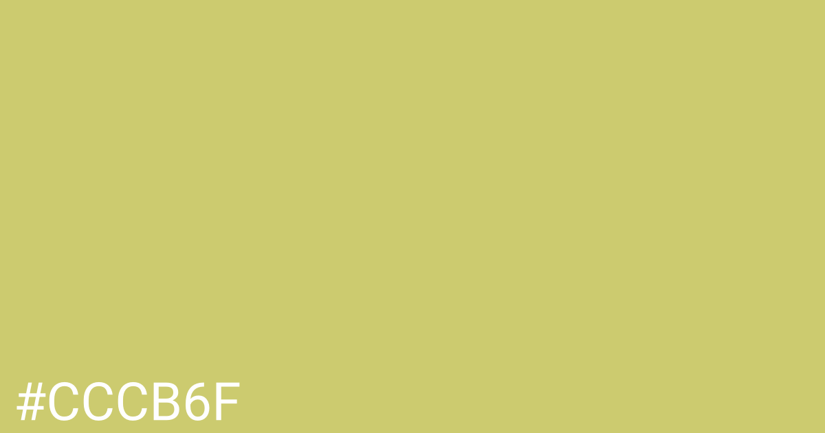 Hex color #cccb6f graphic