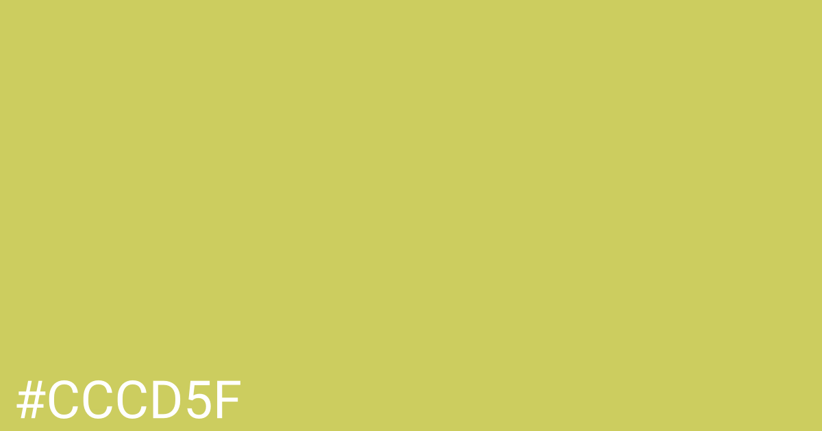 Hex color #cccd5f graphic