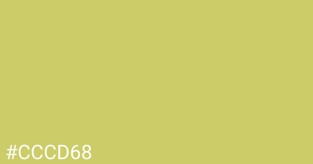 Hex color #cccd68 graphic