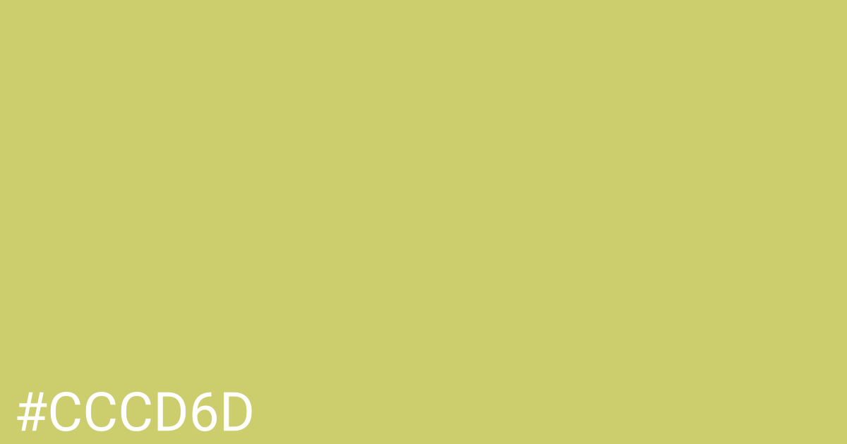 Hex color #cccd6d graphic