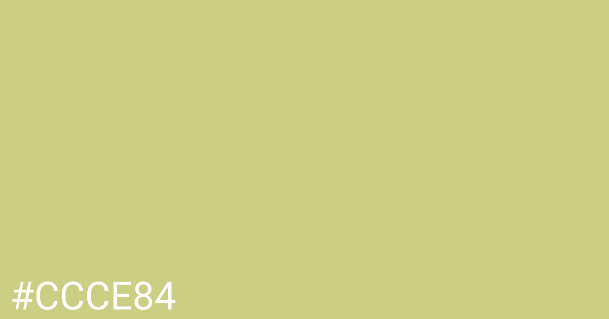 Hex color #ccce84 graphic