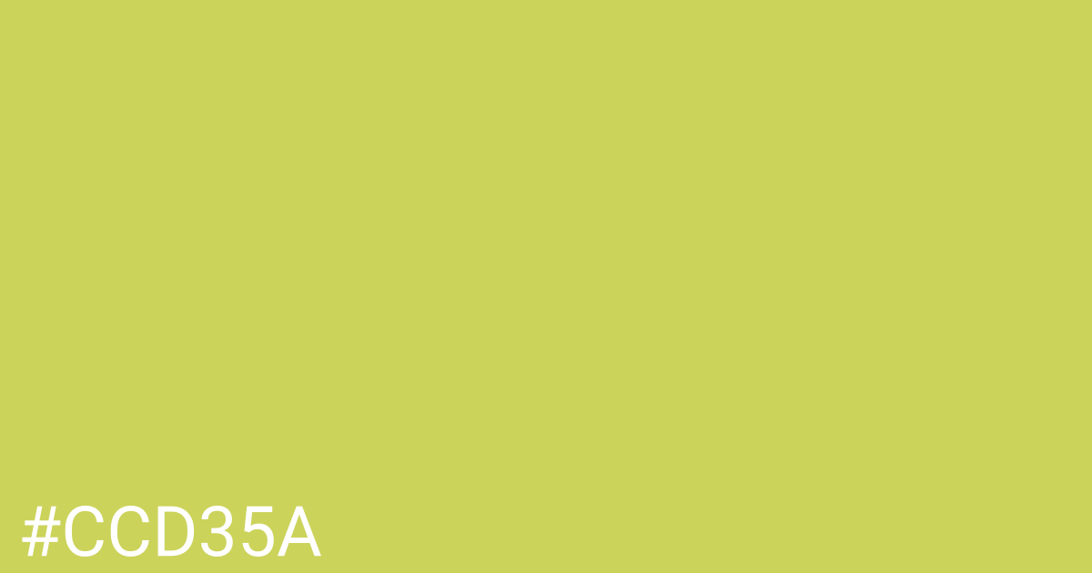 Hex color #ccd35a graphic