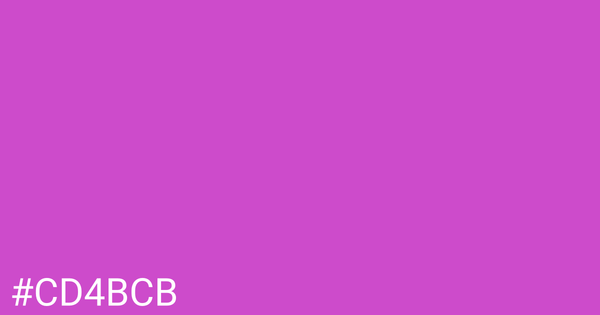 Hex color #cd4bcb graphic