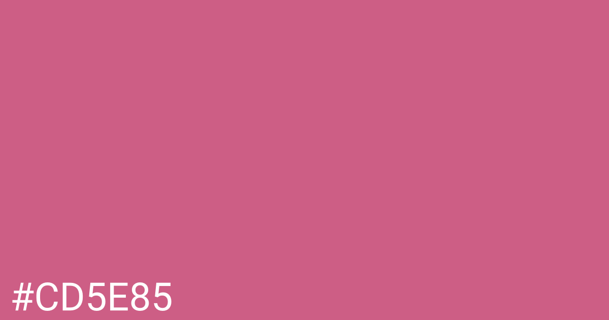Hex color #cd5e85 graphic