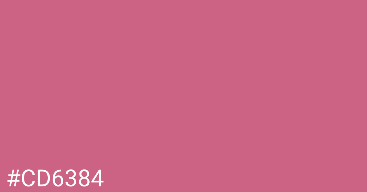 Hex color #cd6384 graphic