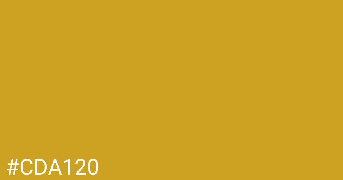 Hex color #cda120 graphic