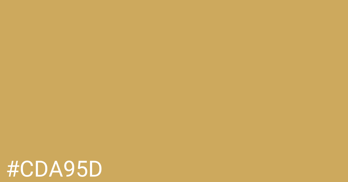 Hex color #cda95d graphic