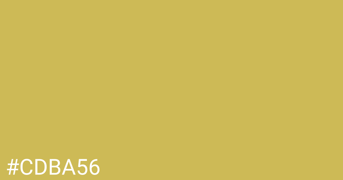 Hex color #cdba56 graphic