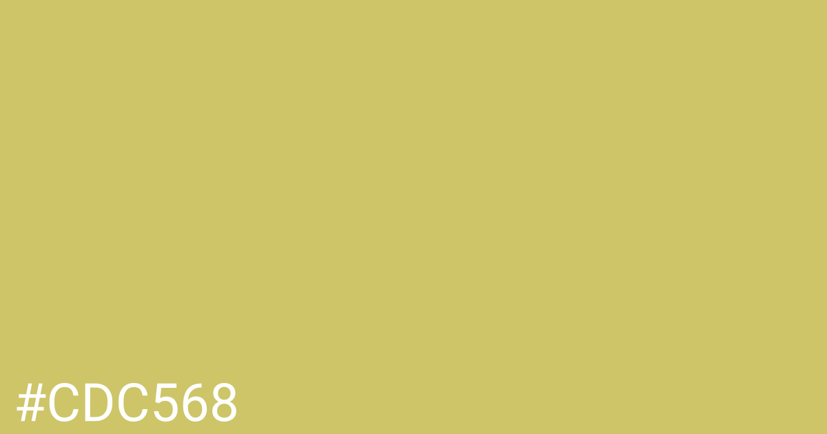 Hex color #cdc568 graphic